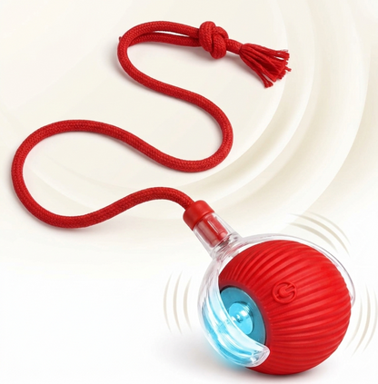 🐾 Smart Rolling Interactive Pet Toy