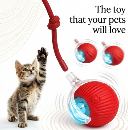 🐾 Smart Rolling Interactive Pet Toy